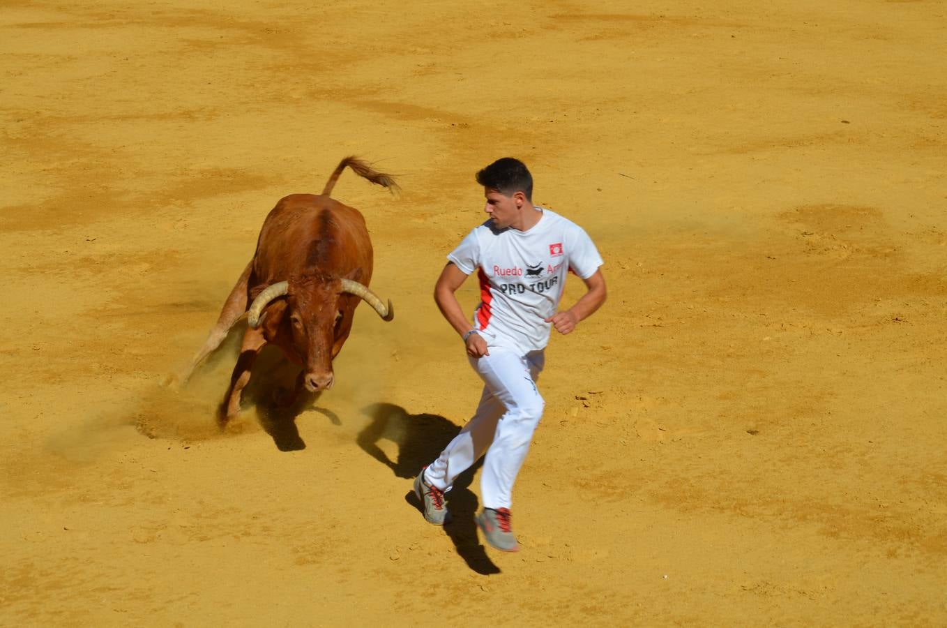 Calahorra en fiestas: el viernes