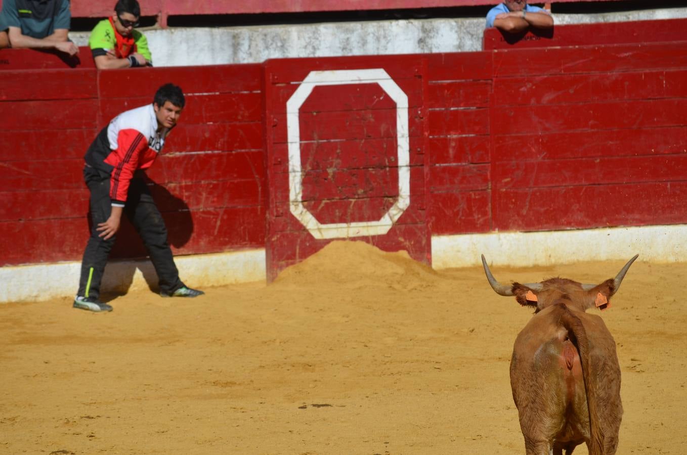 Calahorra en fiestas: el viernes