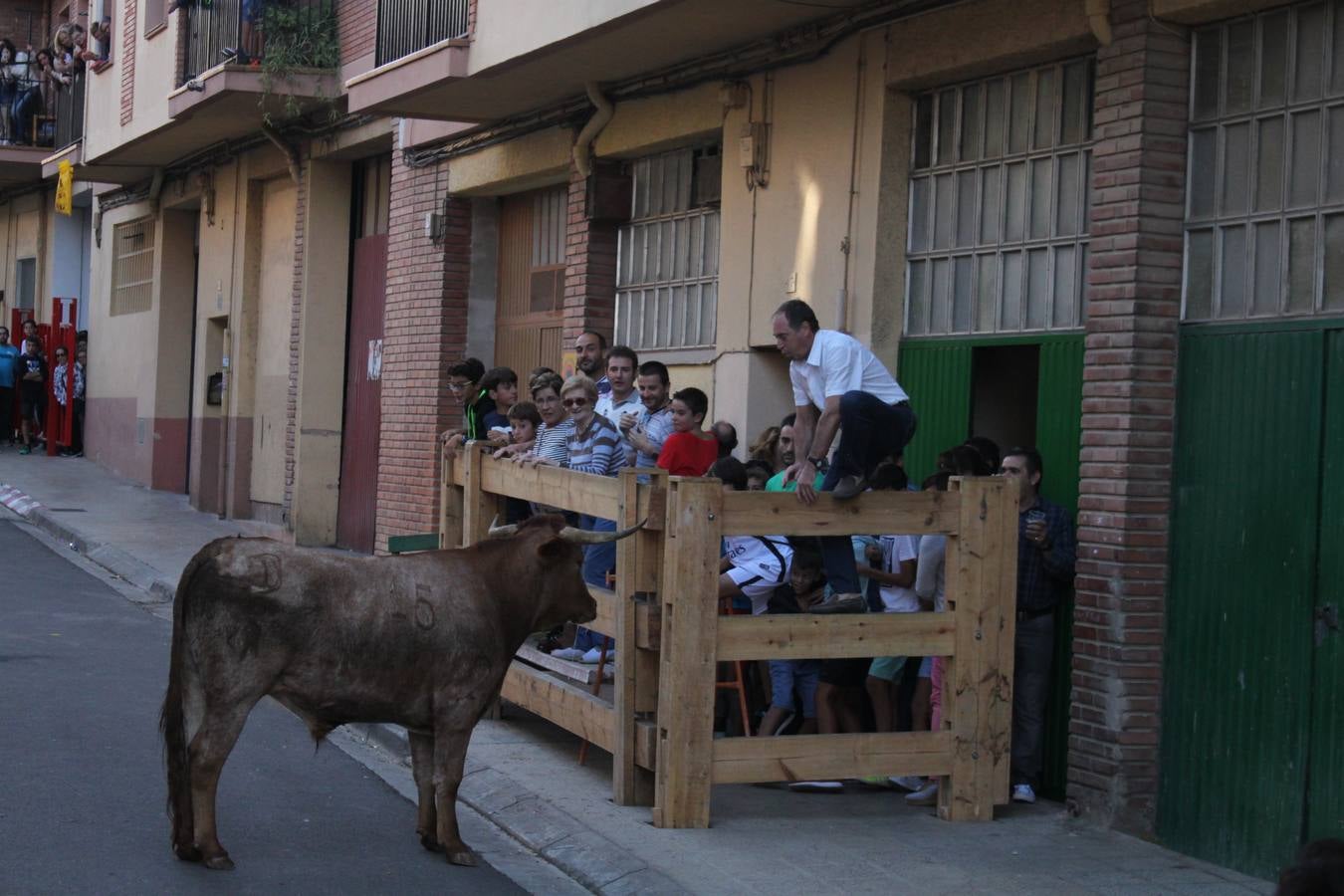 Segundo día de las Fiestas del Burgo de Alfaro