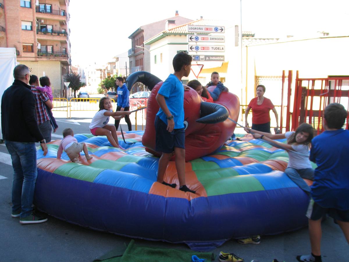 Tercer día de fiestas en Alfaro y ruta Jacobea del Ebro