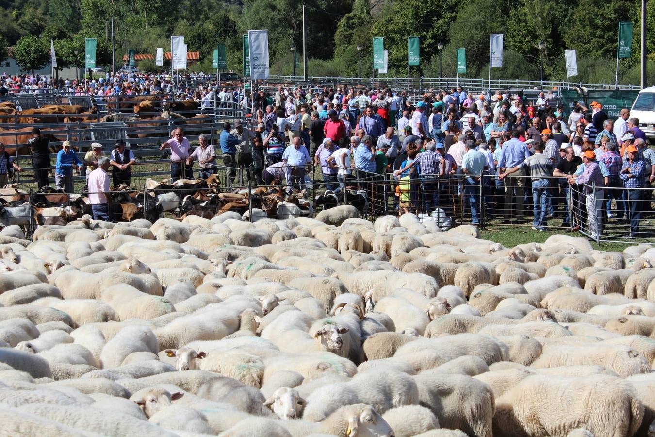 Villoslada de Cameros celebra su tradicional Feria de Ganado