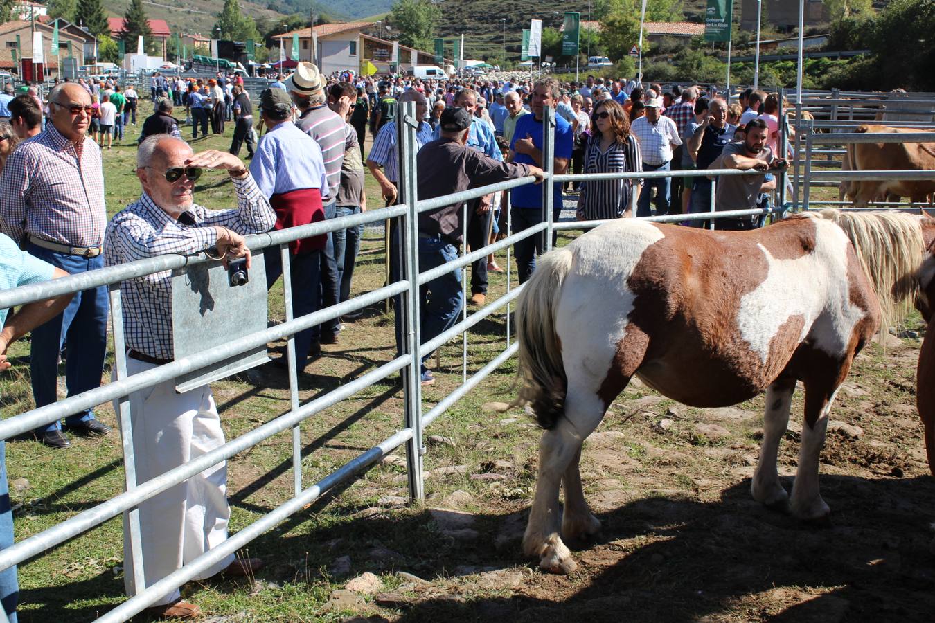 Villoslada de Cameros celebra su tradicional Feria de Ganado