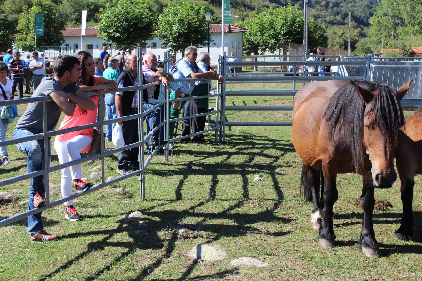 Villoslada de Cameros celebra su tradicional Feria de Ganado