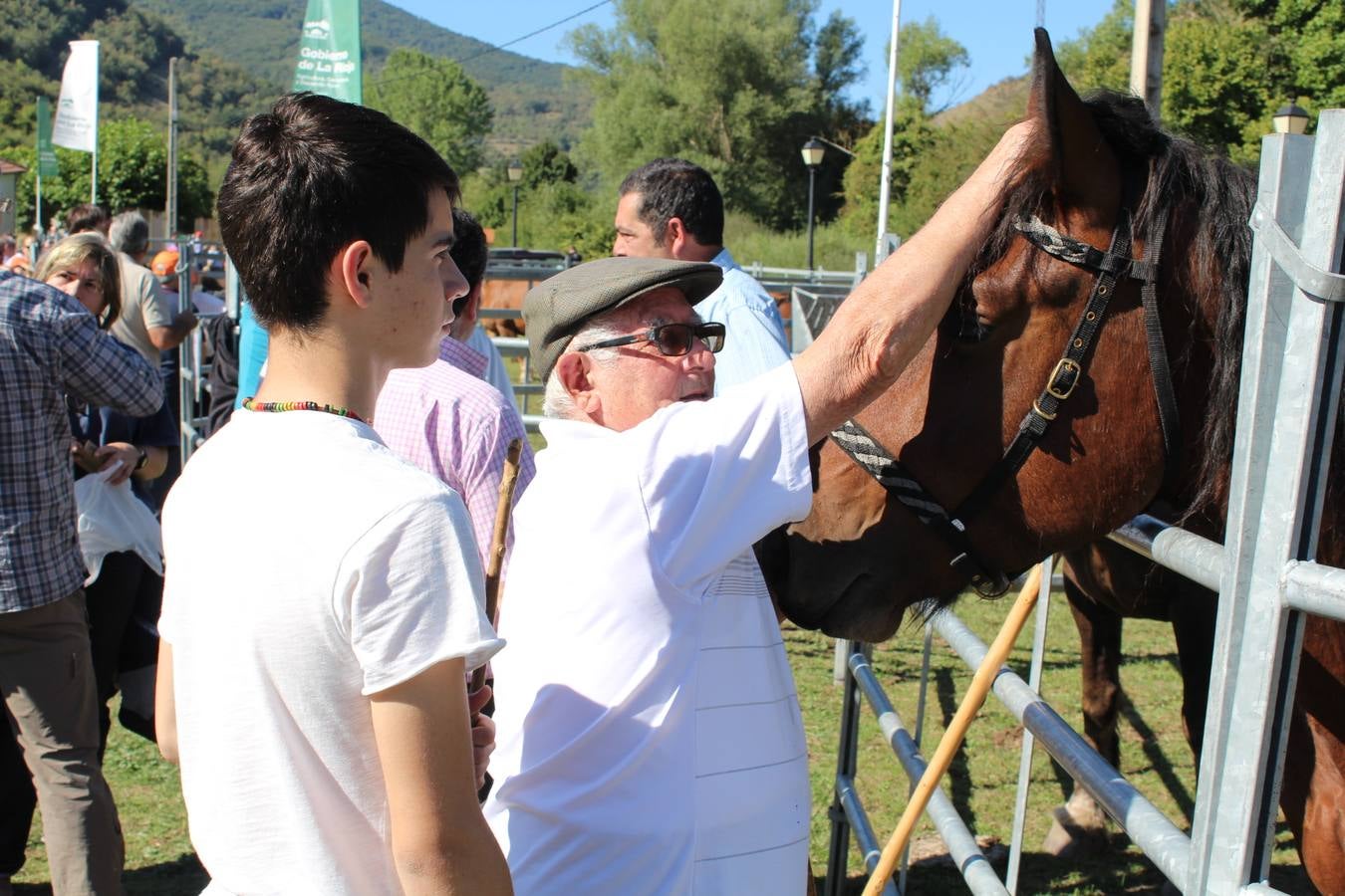 Villoslada de Cameros celebra su tradicional Feria de Ganado