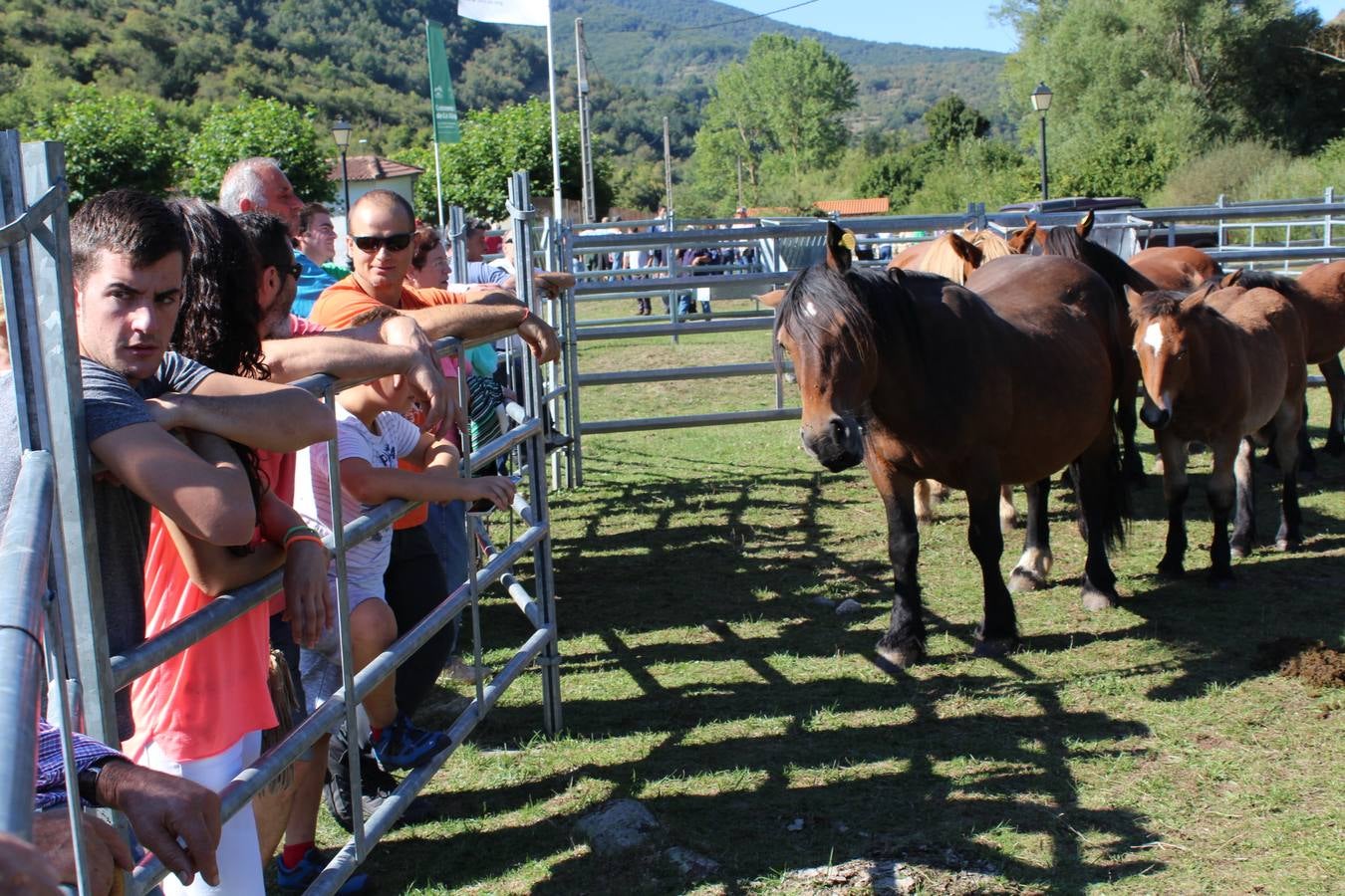 Villoslada de Cameros celebra su tradicional Feria de Ganado