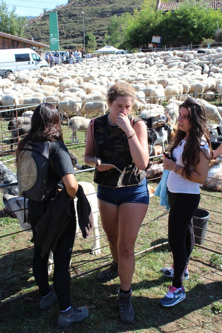 Villoslada de Cameros celebra su tradicional Feria de Ganado