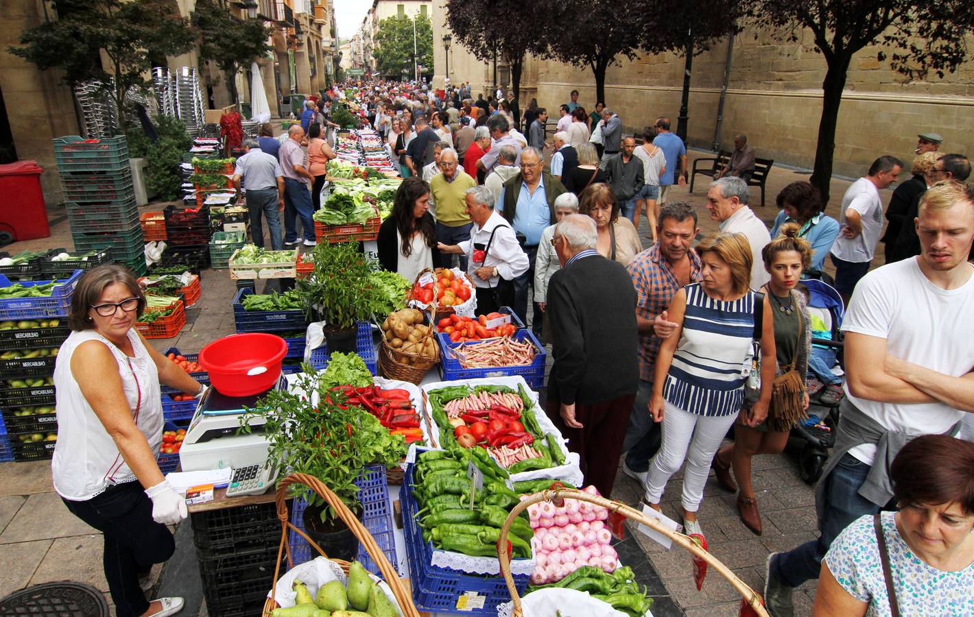 Logroño se vuelve huerta