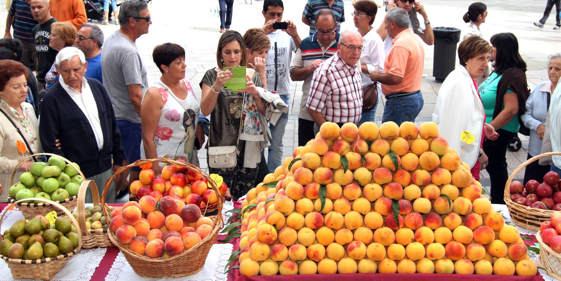 Logroño se vuelve huerta