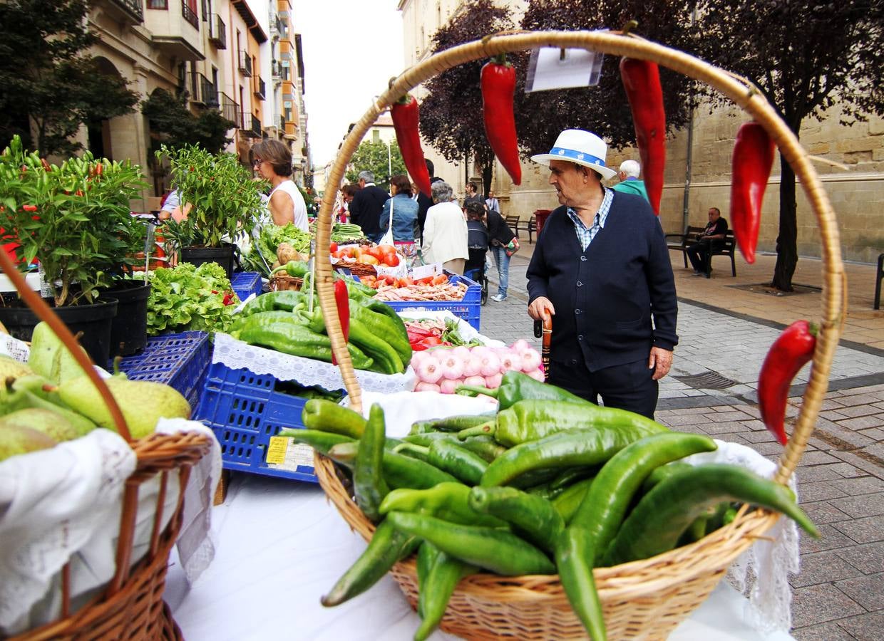 Logroño se vuelve huerta