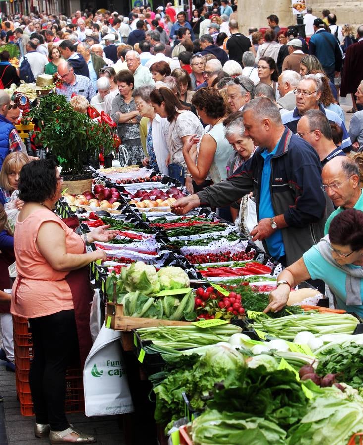 Logroño se vuelve huerta