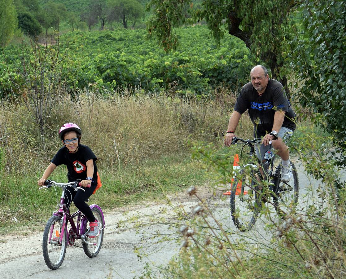 Más de 200 participantes en el quinto Bicipicnic de &#039;El Rioja y los 5 Sentidos&#039;