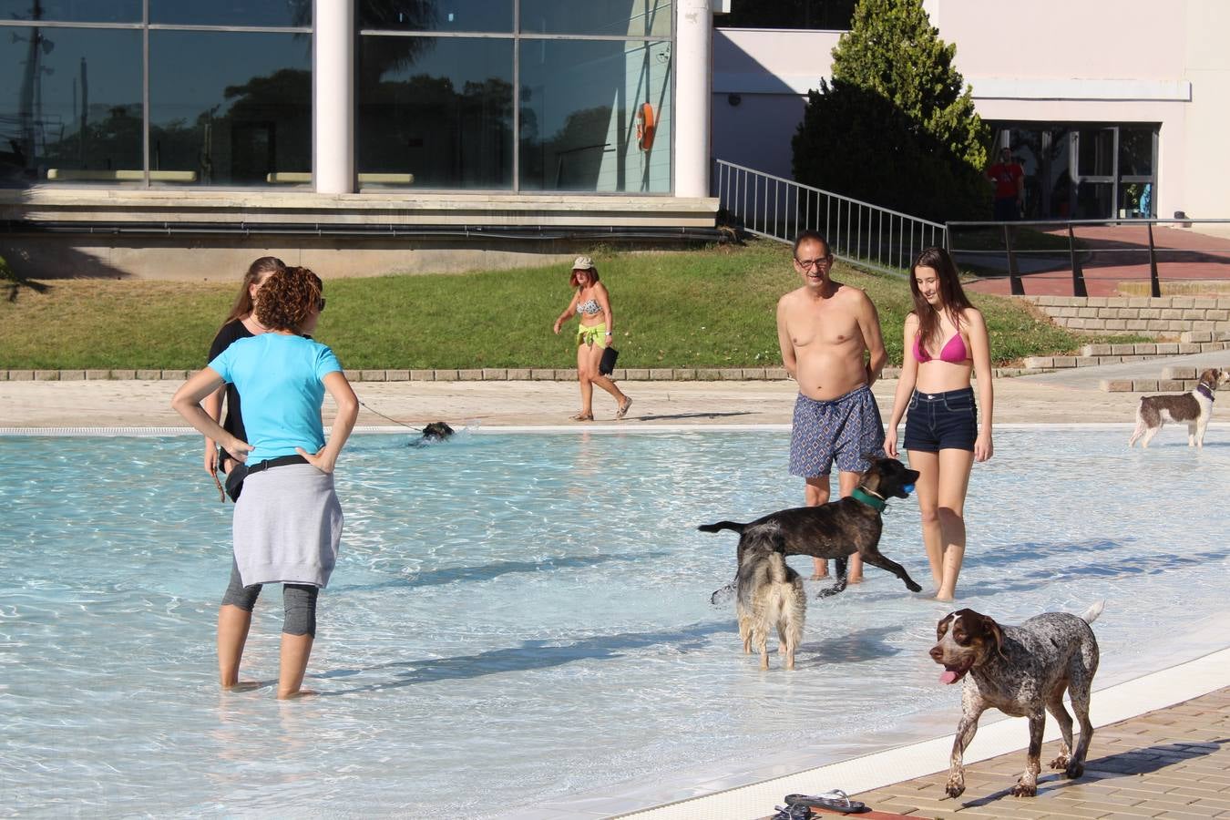 Baño canino en Calahorra