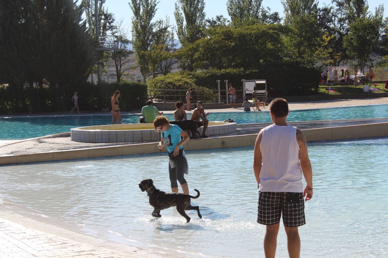 Baño canino en Calahorra