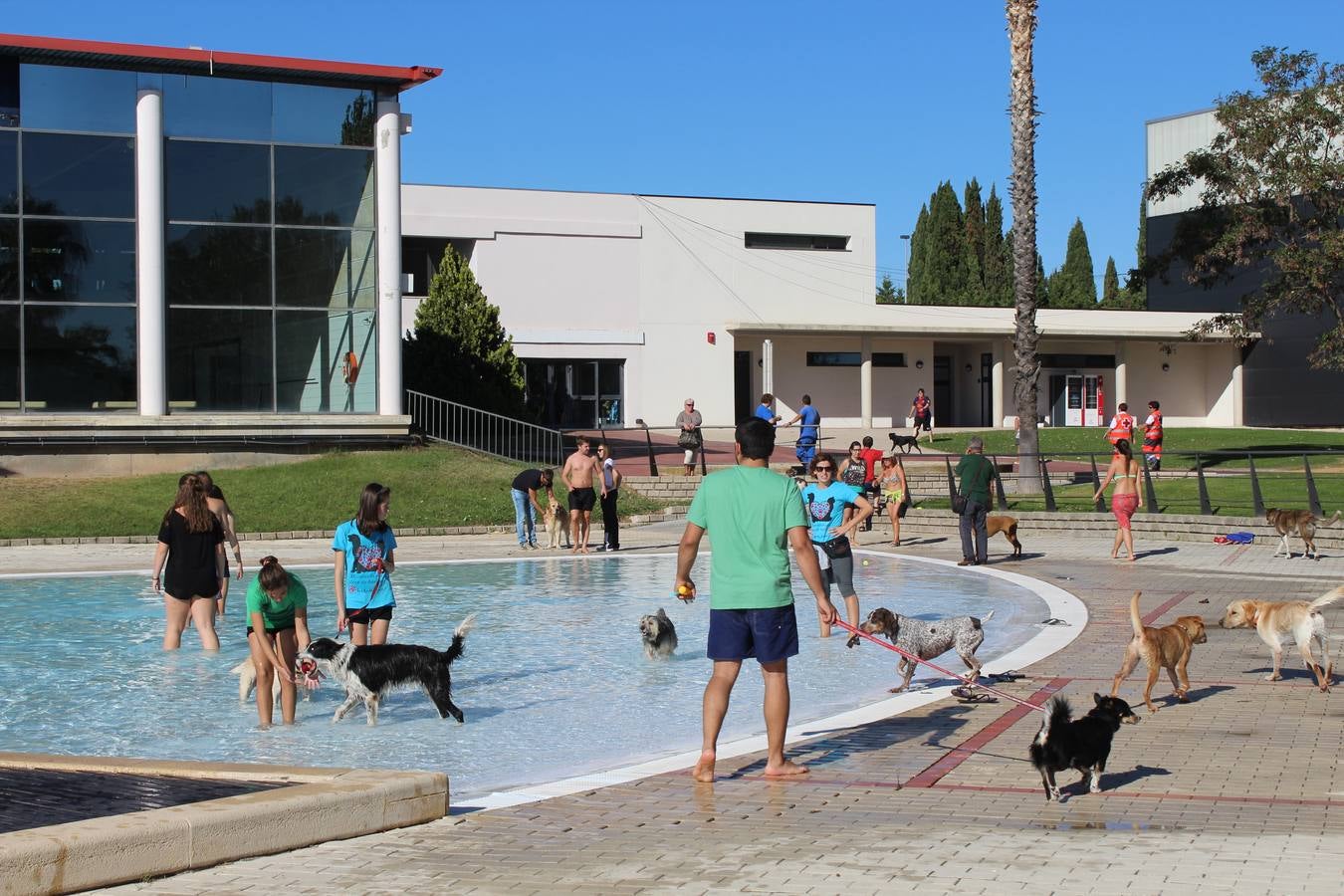 Baño canino en Calahorra