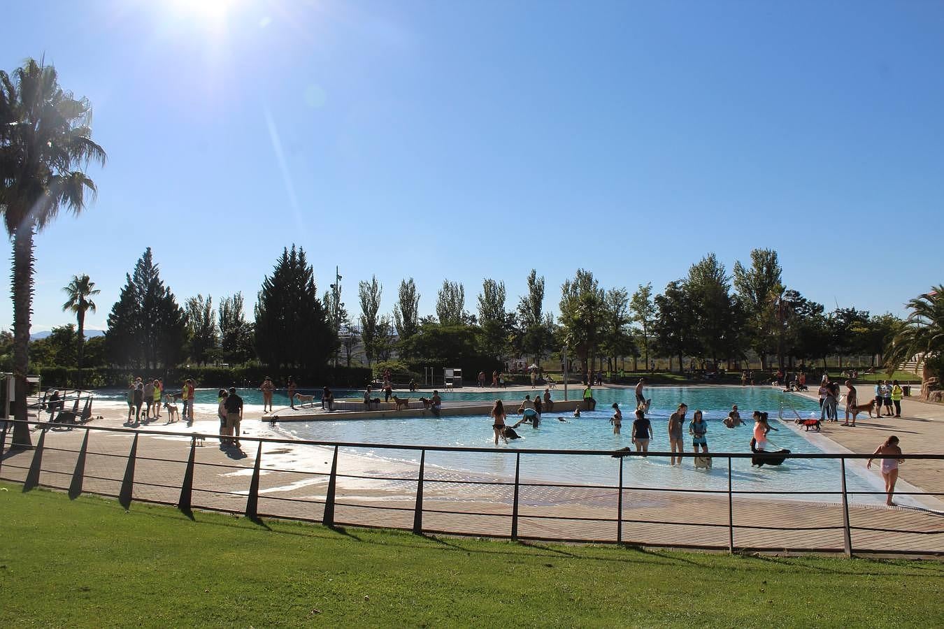 Baño canino en Calahorra