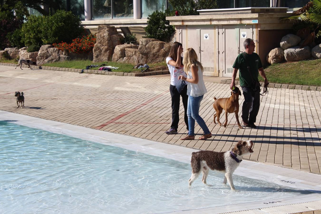 Baño canino en Calahorra