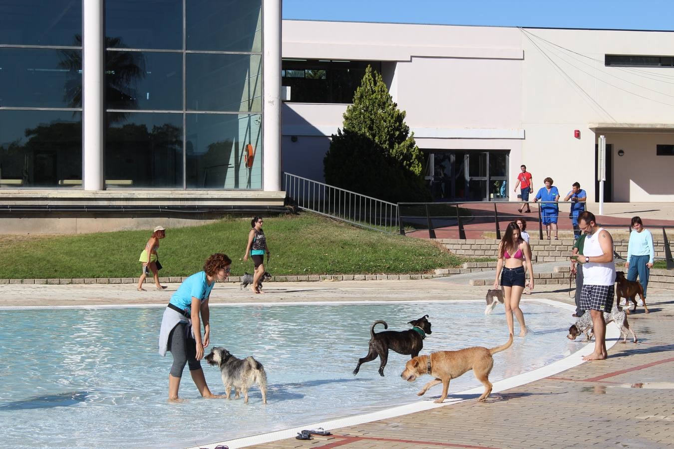 Baño canino en Calahorra