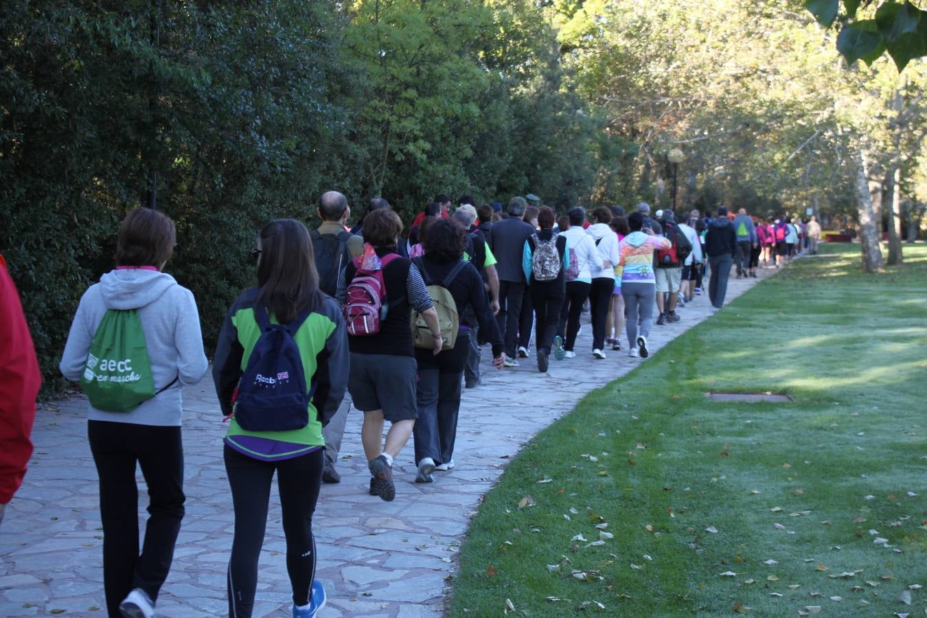 Un caminar unido y sin atajos