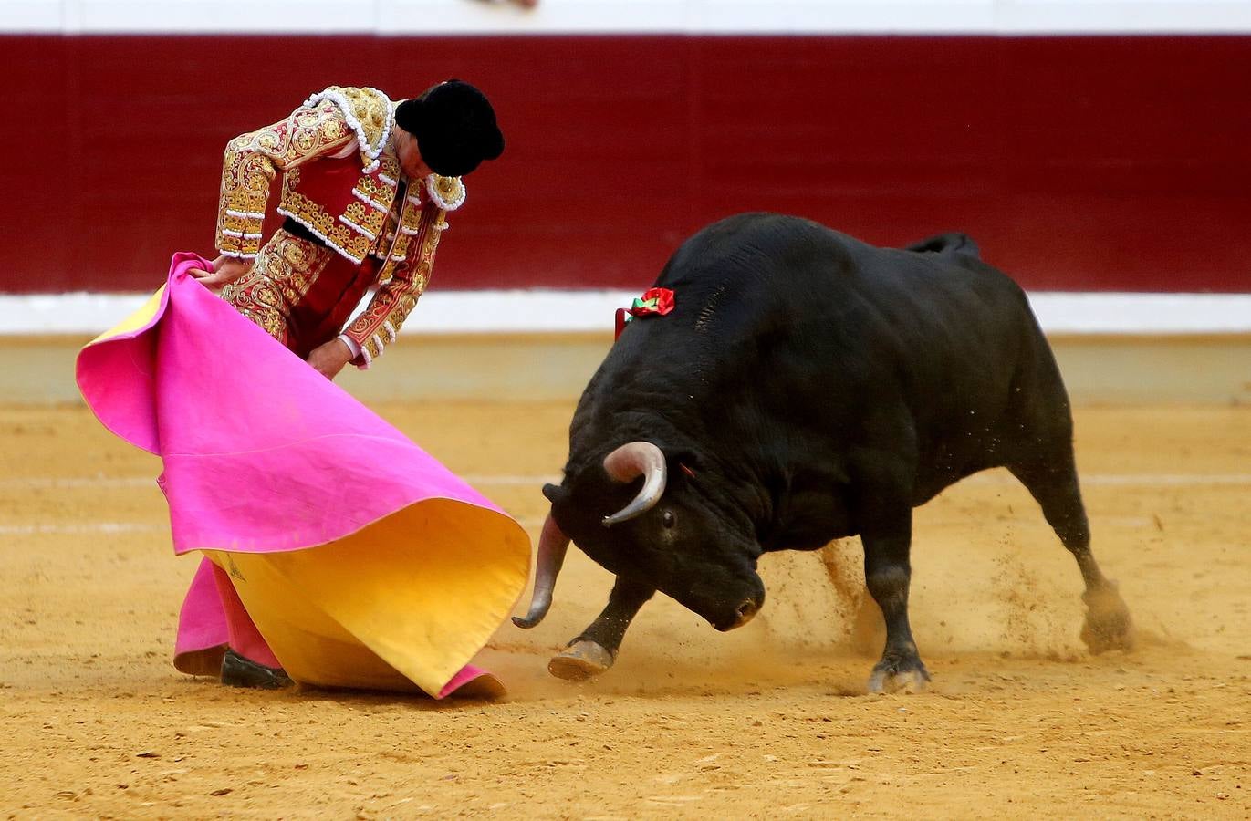 Feria de San Mateo: el domingo