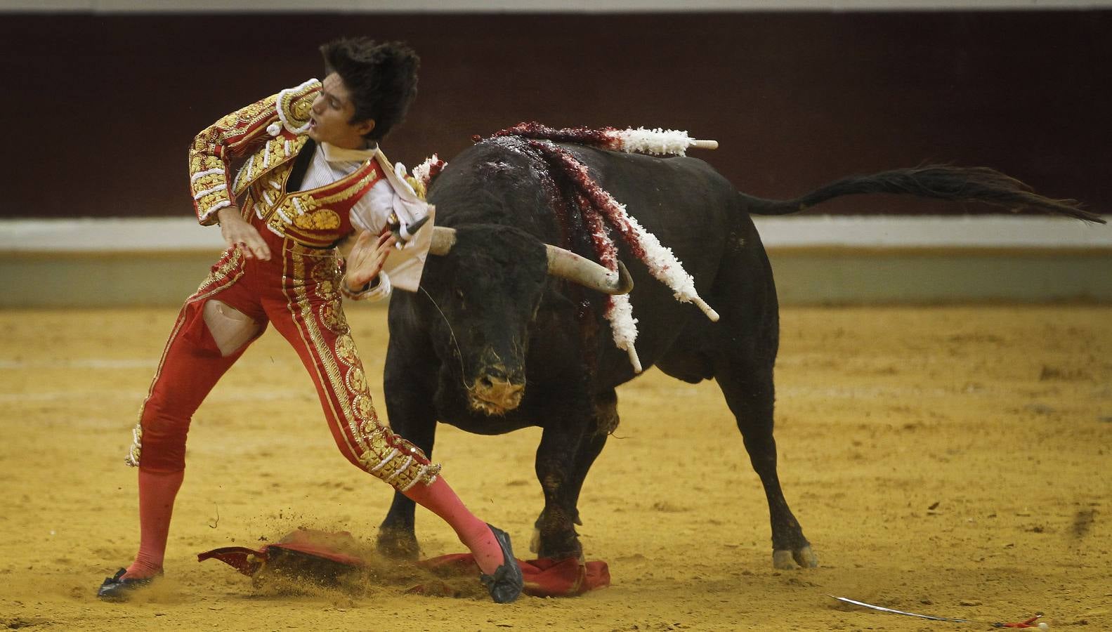 Toros: última de feria