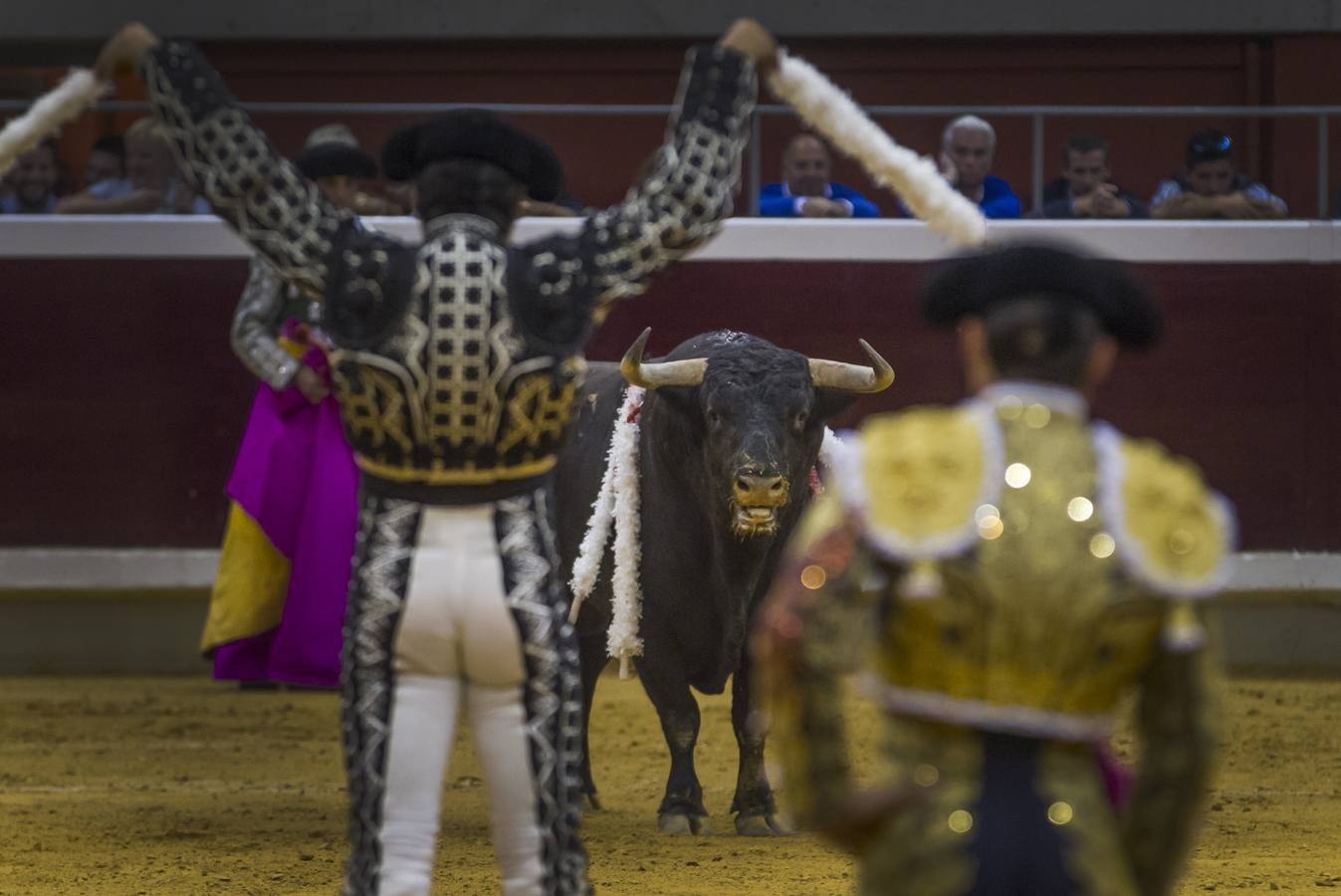 Toros: última de feria