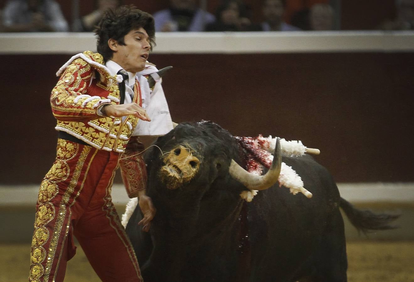 Toros: última de feria