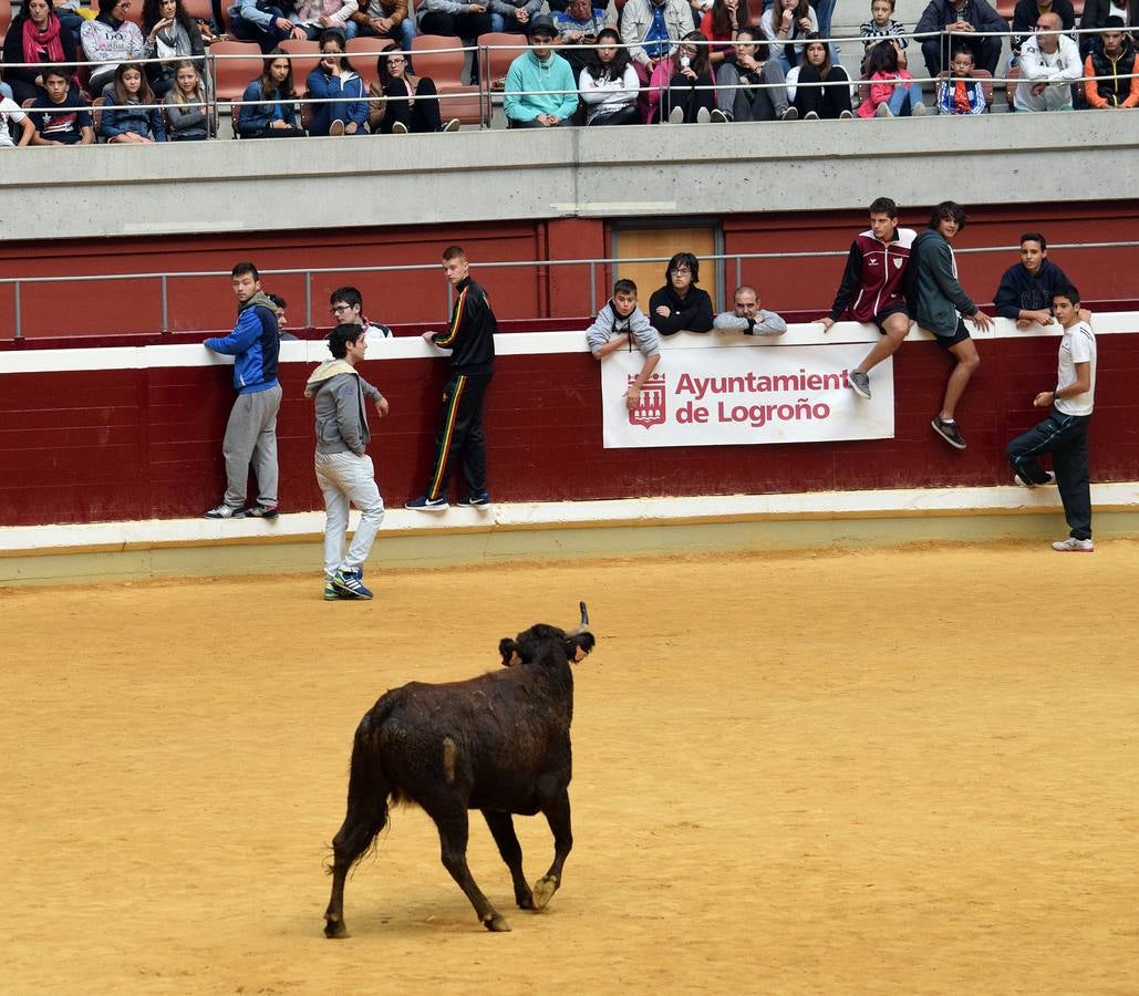 Las últimas vaquillas