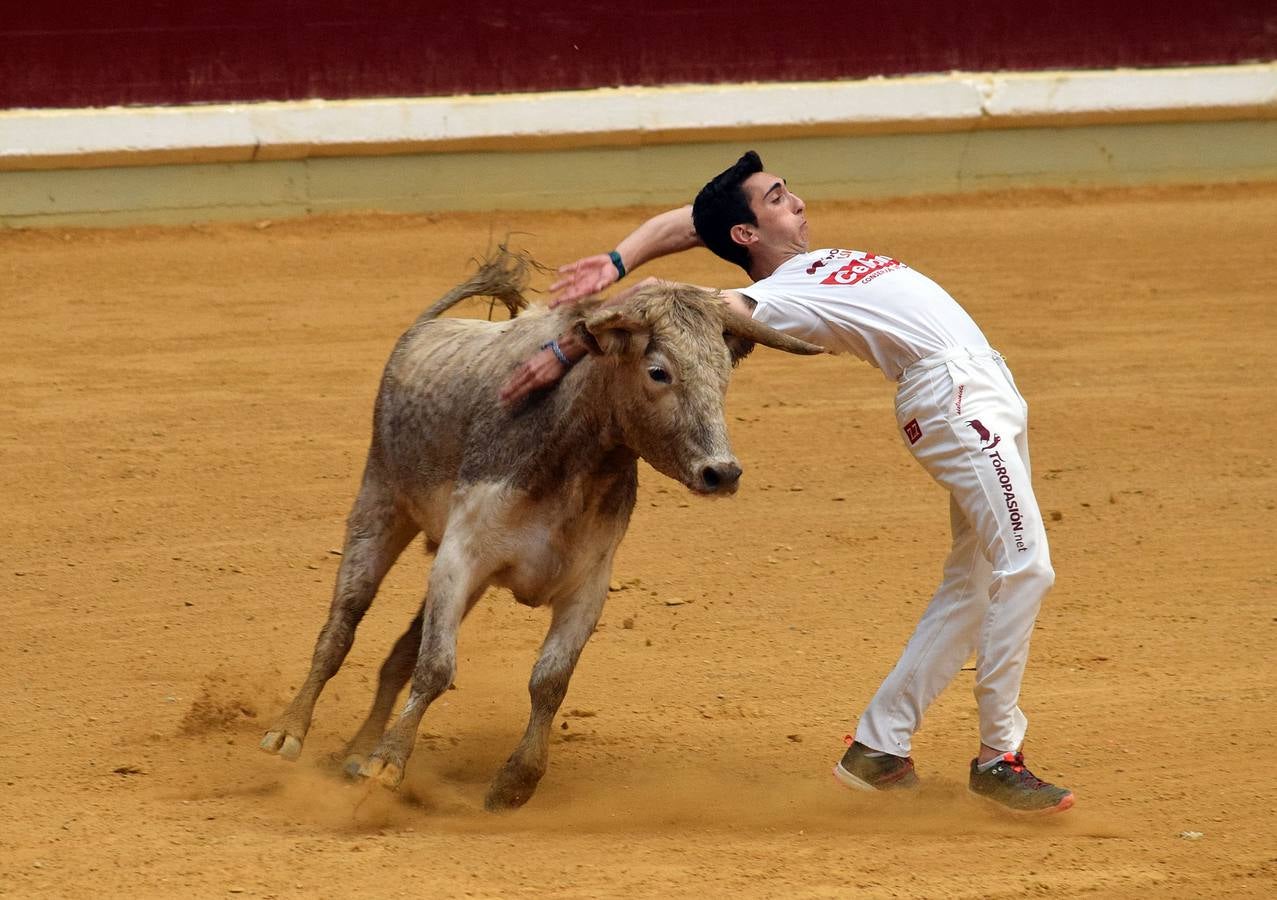 Las últimas vaquillas