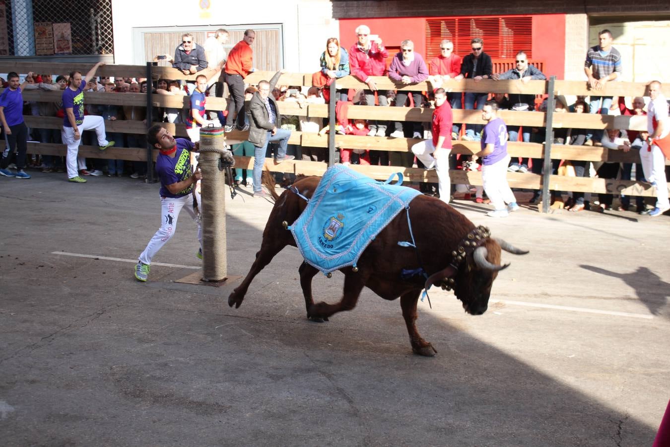 Encierro, Gorgorito, degustaciones...en el cuarto día de fiestas de Arnedo