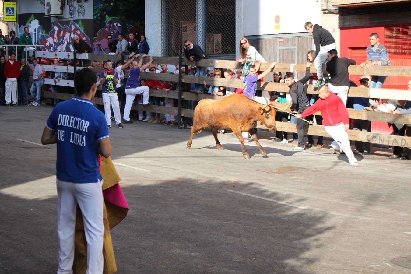 Encierro, Gorgorito, degustaciones...en el cuarto día de fiestas de Arnedo