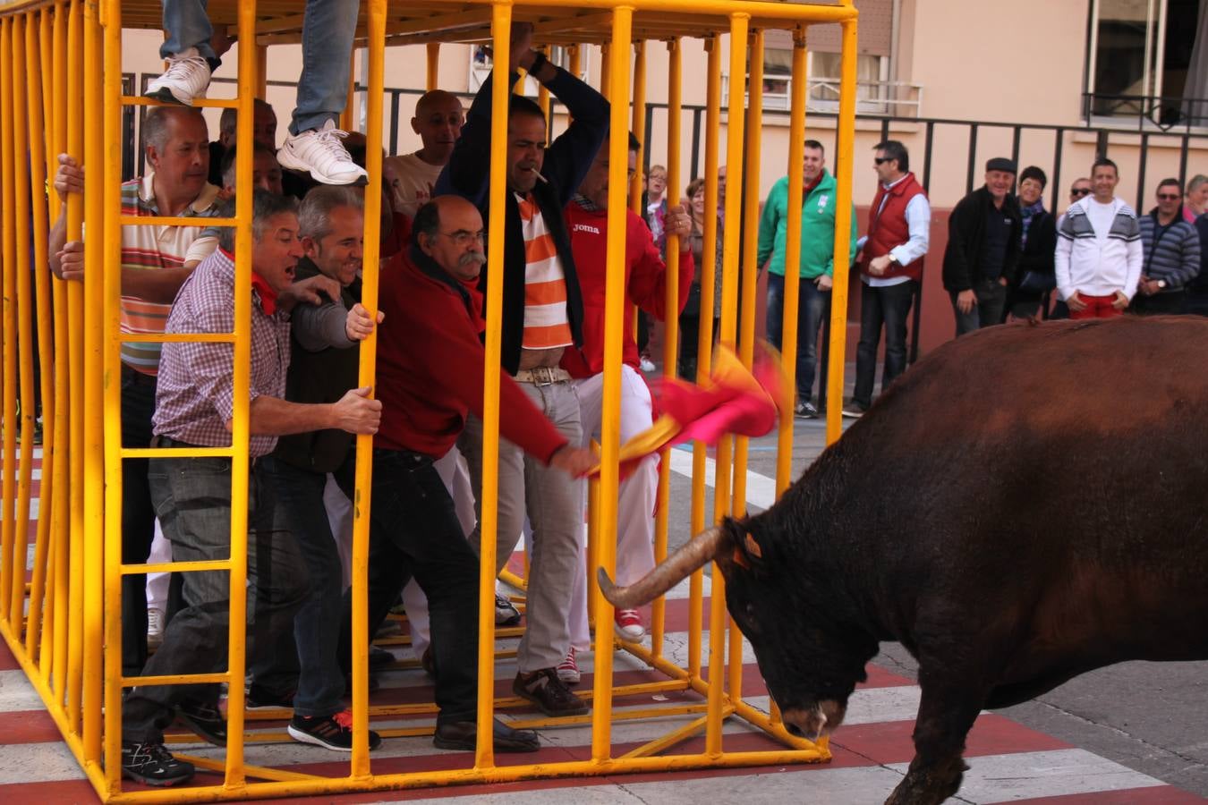 Encierro, Gorgorito, degustaciones...en el cuarto día de fiestas de Arnedo