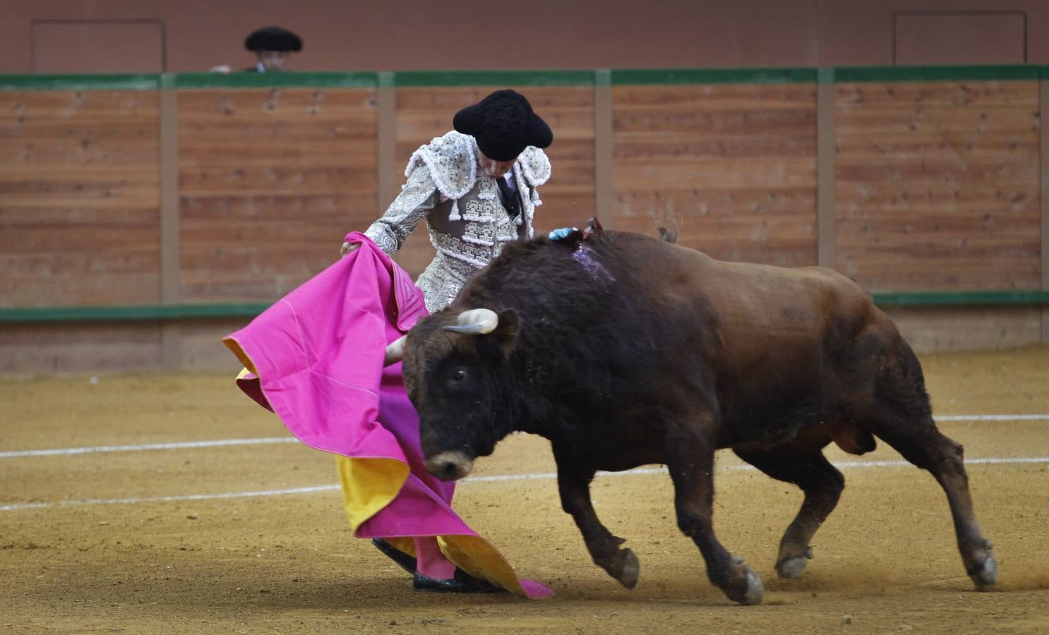 Solitaria oreja para Lorenzo