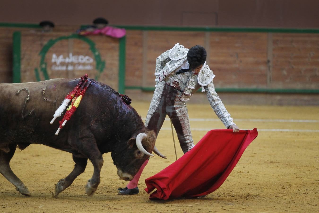 Solitaria oreja para Lorenzo