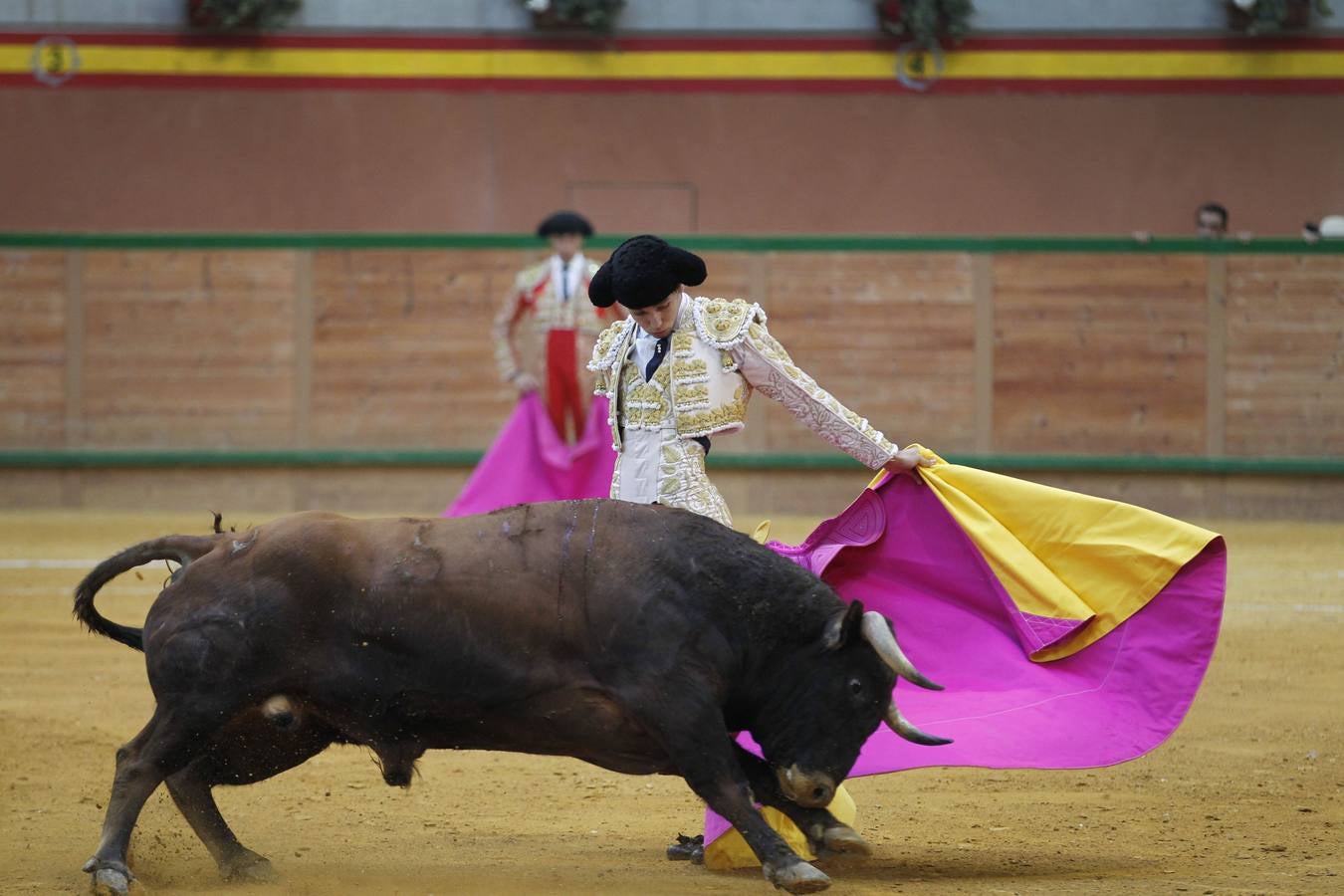 Solitaria oreja para Lorenzo