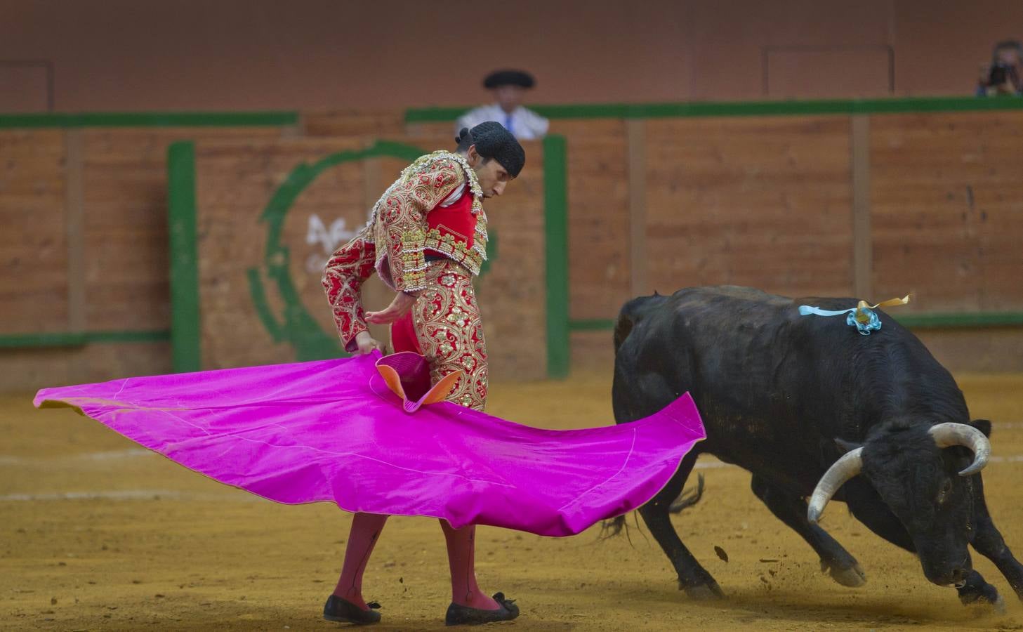 Solitaria oreja para Lorenzo