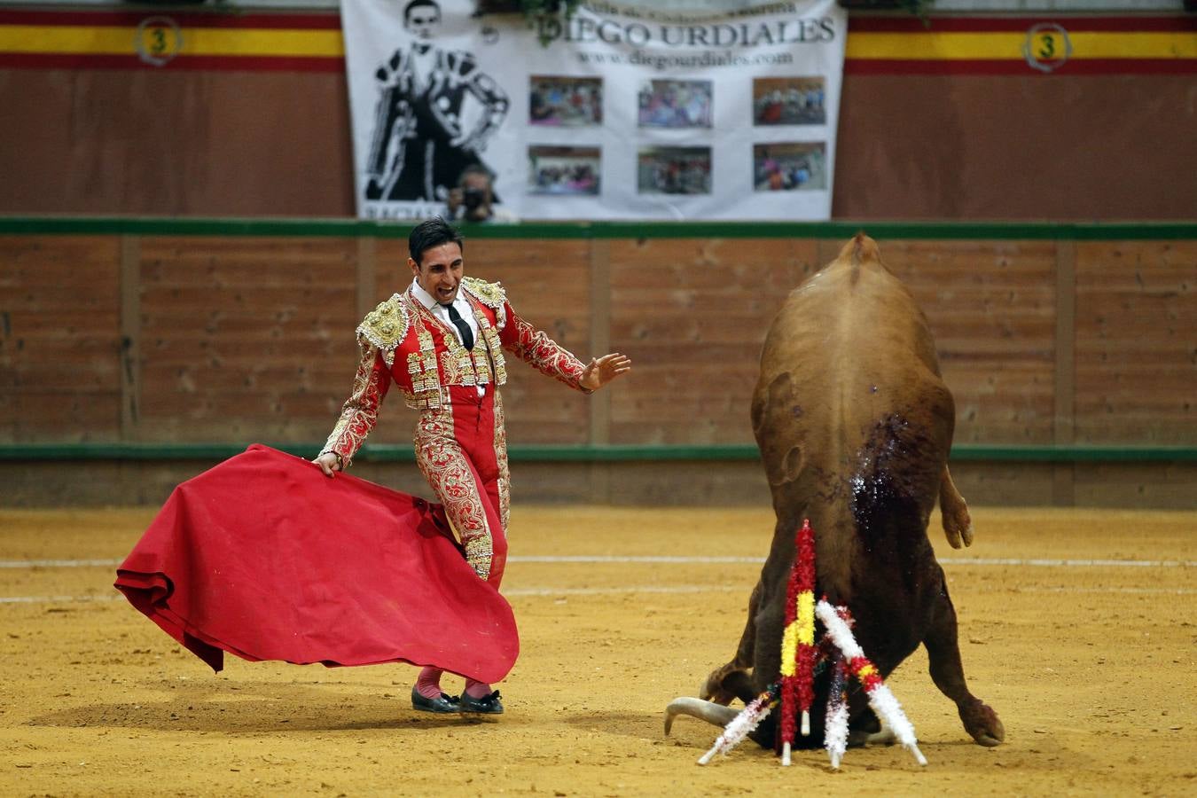 Solitaria oreja para Lorenzo