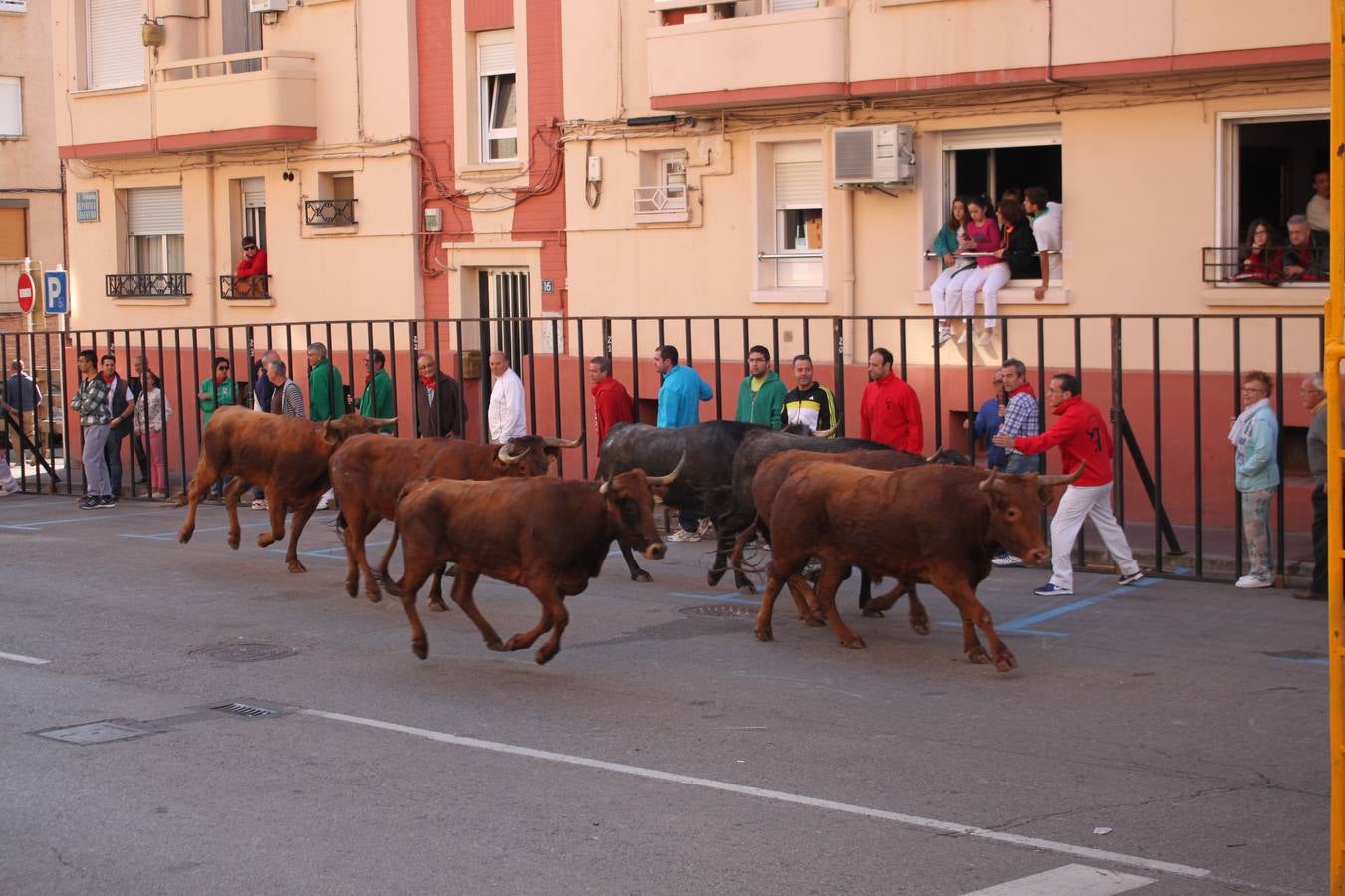 Vaquillas de juguete (y de verdad) en las fiestas de Arnedo