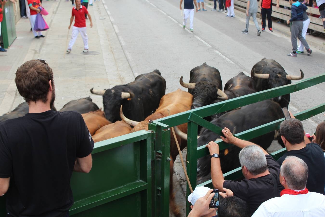 Entre jotas y toros en Rincón