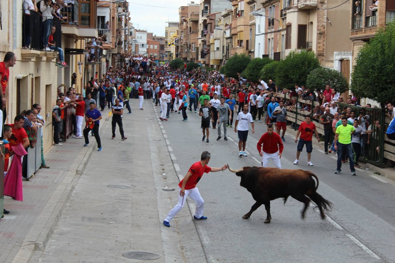 Entre jotas y toros en Rincón