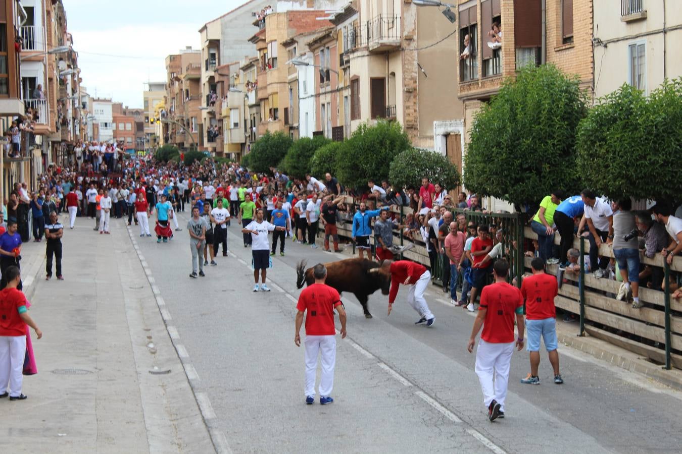 Entre jotas y toros en Rincón