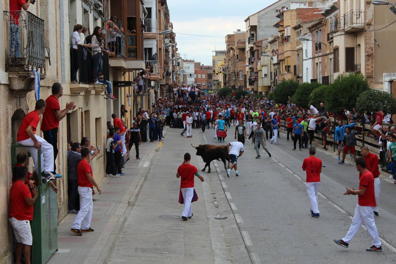 Entre jotas y toros en Rincón