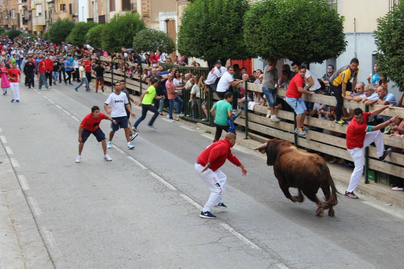 Entre jotas y toros en Rincón