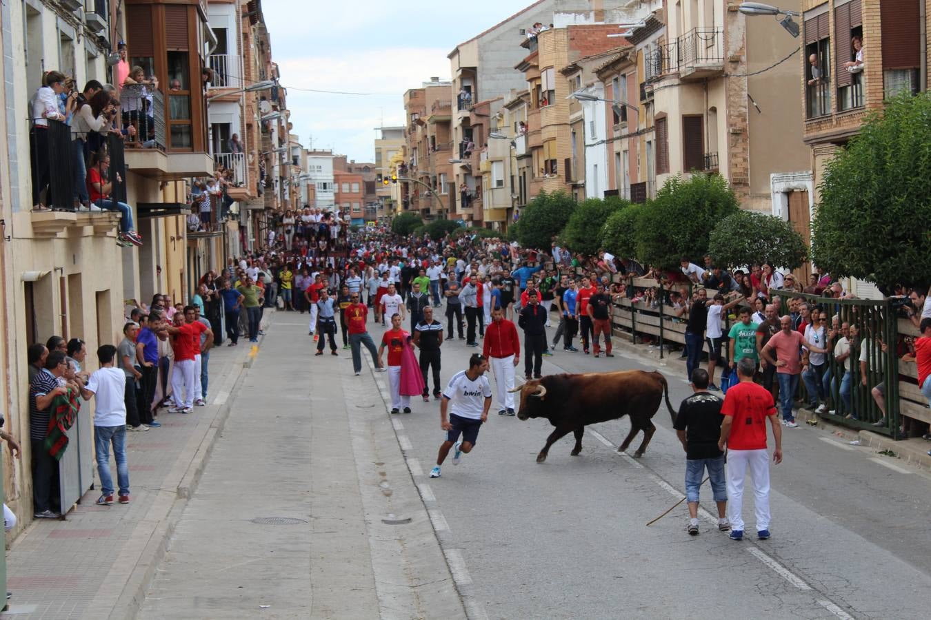 Entre jotas y toros en Rincón