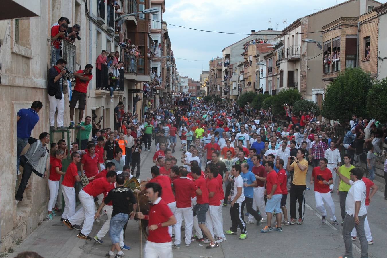 Entre jotas y toros en Rincón