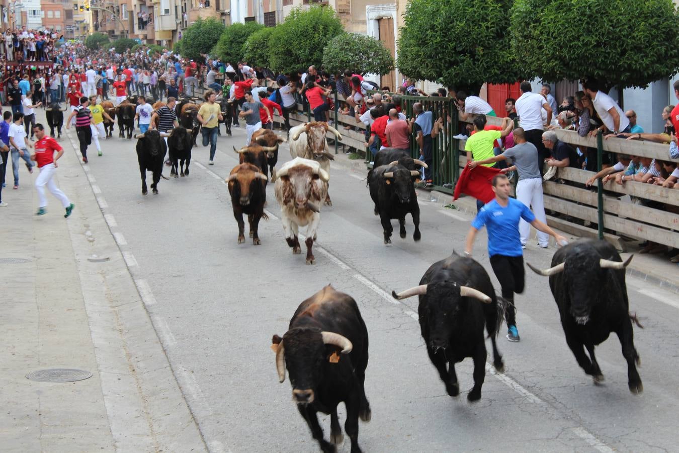 Entre jotas y toros en Rincón