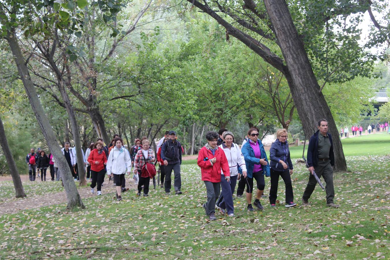 Marcha contra el cáncer en Calahorra