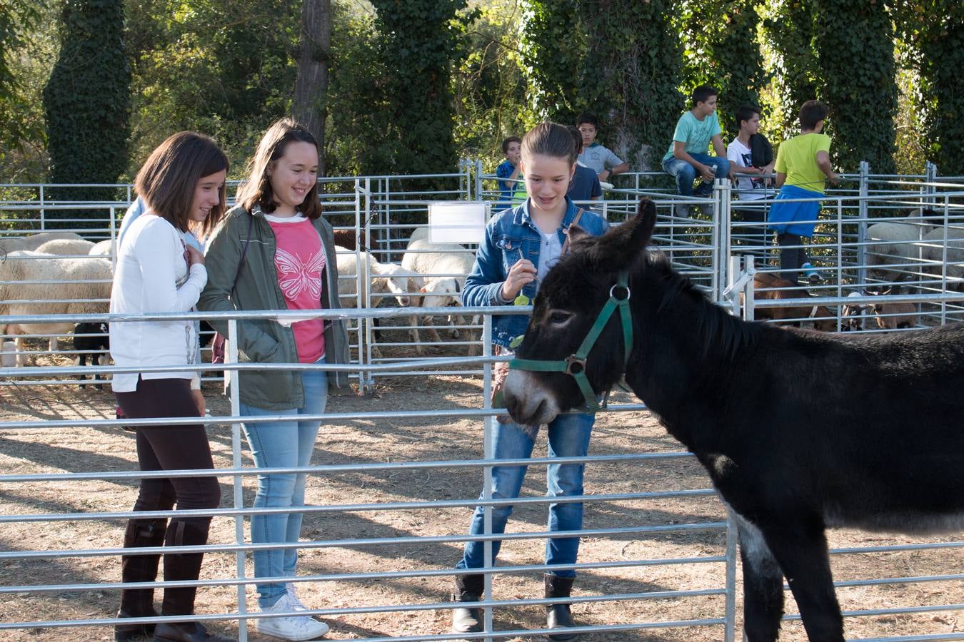 XIII Feria Ganadera y de Artesanía Agroalimentaria, de Ojacastro