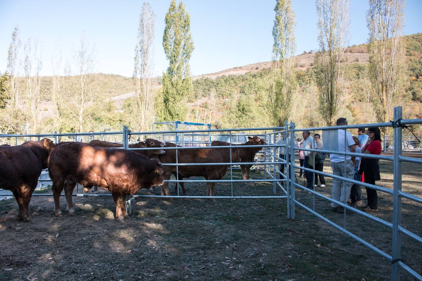 XIII Feria Ganadera y de Artesanía Agroalimentaria, de Ojacastro