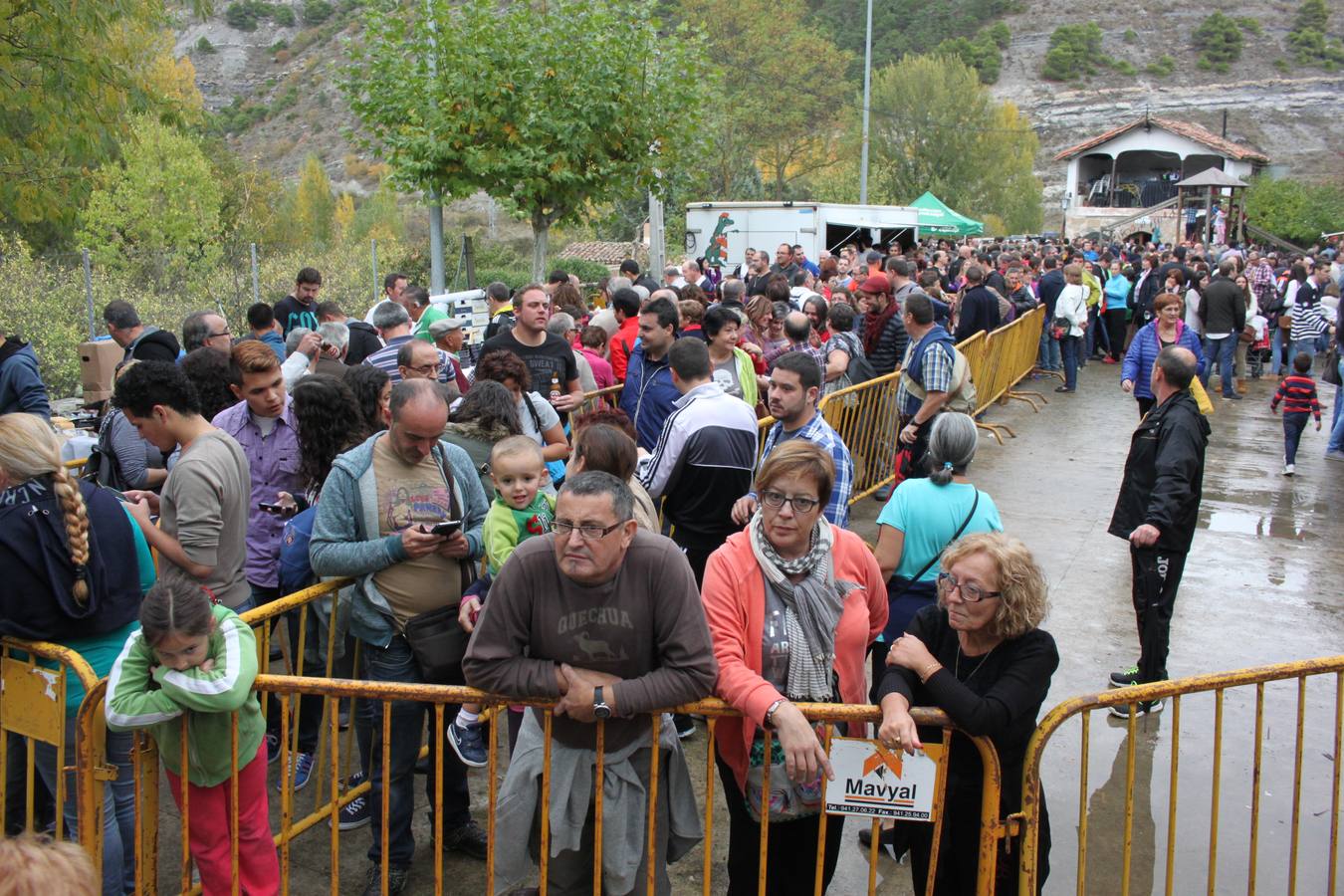 Jornada de la Ternera de la Sierra