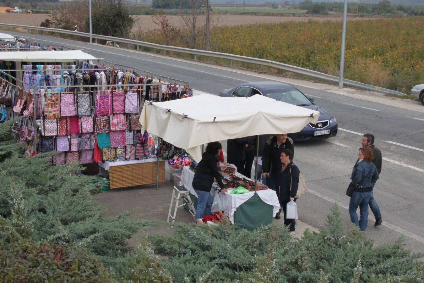 Romería a la ermita del Pilar en Alfaro